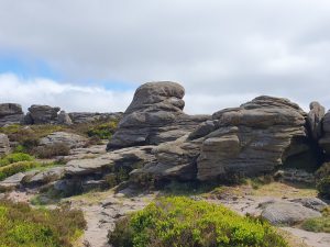 Derwent Edge to Back Tor